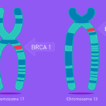 brca gene test