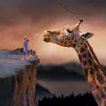 writing inspiration, dreams
