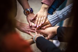 author platform checklist