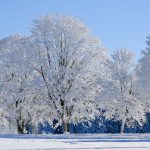 seasons of creativity, seasons, creativity, writing