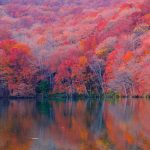seasons of creativity, seasons, creativity, writing