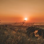seasons of creativity, seasons, creativity, writing